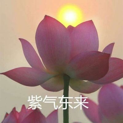 还魂门手游下载