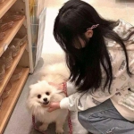 迷宫小球轨道下载